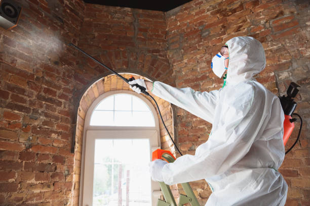 Best Environmental Consulting for Mold Prevention  in South Zanesville, OH